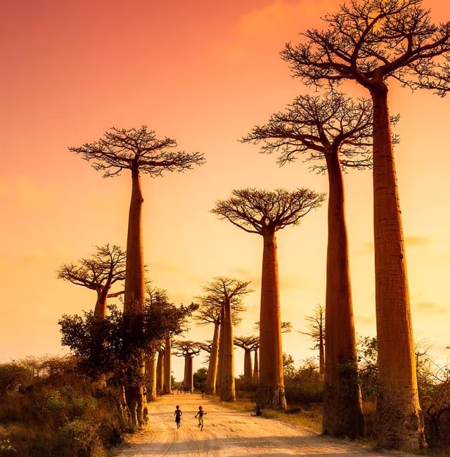 Cours de formation à Madagascar